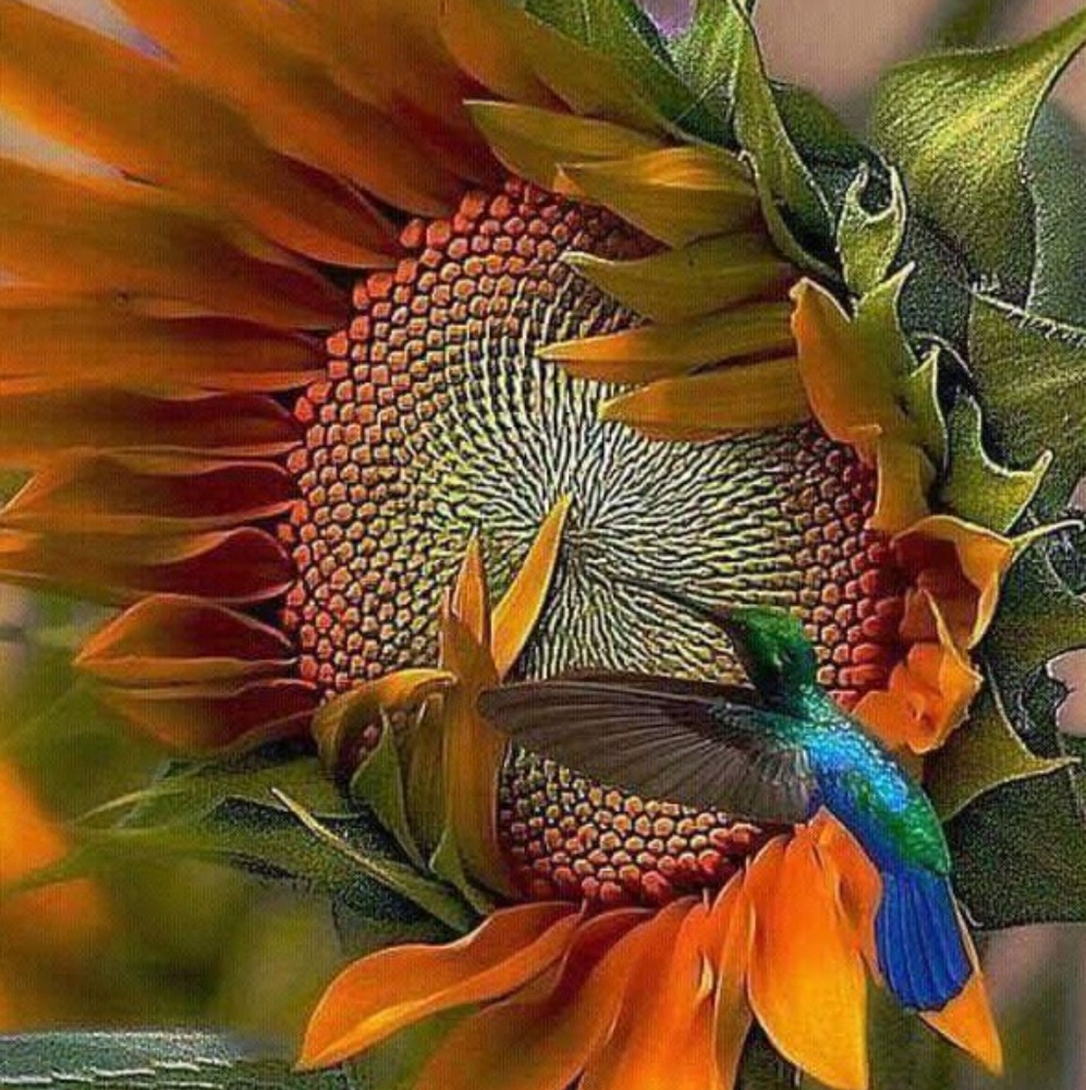 Meet your Posher, Ricki